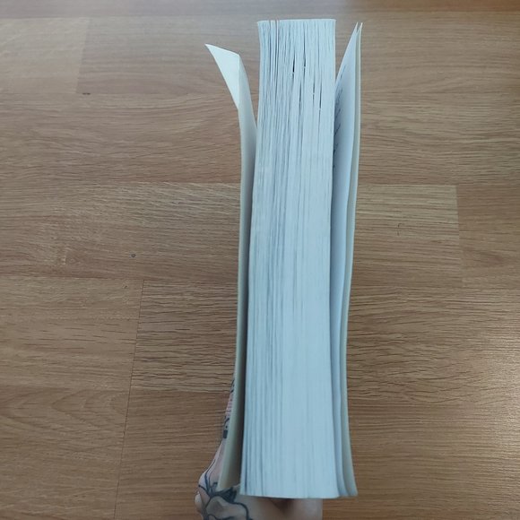 Controversies in Sociology: A Canadian Introduction (2nd Edition) - Picture 4 of 6